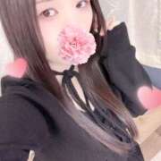 ヒメ日記 2026/03/20 15:00 投稿 ミモザ 飾窓