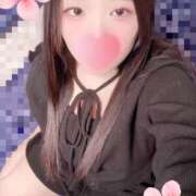 ヒメ日記 2026/03/20 18:00 投稿 ミモザ 飾窓