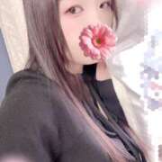 ヒメ日記 2026/03/20 20:00 投稿 ミモザ 飾窓