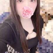 ヒメ日記 2026/03/21 18:00 投稿 ミモザ 飾窓