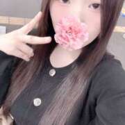 ヒメ日記 2026/03/22 20:00 投稿 ミモザ 飾窓