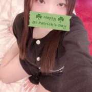 ヒメ日記 2026/03/22 22:02 投稿 ミモザ 飾窓