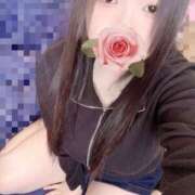 ヒメ日記 2026/03/23 15:00 投稿 ミモザ 飾窓