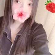 ヒメ日記 2026/03/23 20:06 投稿 ミモザ 飾窓