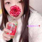 ヒメ日記 2026/03/23 22:18 投稿 ミモザ 飾窓