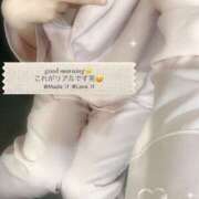 ヒメ日記 2026/03/24 09:45 投稿 ミモザ 飾窓