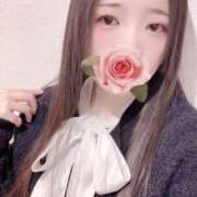 ヒメ日記 2026/03/24 12:30 投稿 ミモザ 飾窓