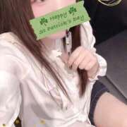 ヒメ日記 2026/03/24 21:00 投稿 ミモザ 飾窓