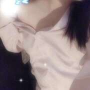 ヒメ日記 2026/03/25 08:10 投稿 ミモザ 飾窓