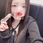 ヒメ日記 2026/03/25 18:10 投稿 ミモザ 飾窓