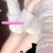 ヒメ日記 2026/03/26 08:20 投稿 ミモザ 飾窓