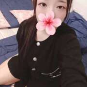 ヒメ日記 2026/03/26 12:11 投稿 ミモザ 飾窓