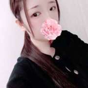 ヒメ日記 2026/03/26 20:00 投稿 ミモザ 飾窓