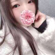 ヒメ日記 2026/03/27 12:00 投稿 ミモザ 飾窓