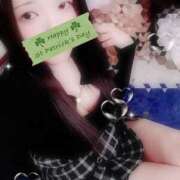 ヒメ日記 2026/03/27 18:00 投稿 ミモザ 飾窓