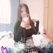 ヒメ日記 2026/03/27 20:00 投稿 ミモザ 飾窓