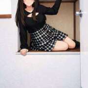 ヒメ日記 2026/03/31 08:00 投稿 ミモザ 飾窓