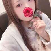 ヒメ日記 2026/03/31 18:00 投稿 ミモザ 飾窓