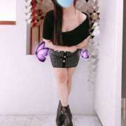 ヒメ日記 2026/04/02 12:00 投稿 ミモザ 飾窓