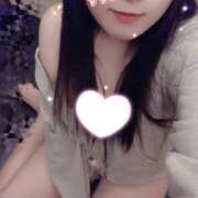 ヒメ日記 2026/04/04 08:20 投稿 ミモザ 飾窓