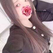 ヒメ日記 2026/04/05 12:00 投稿 ミモザ 飾窓