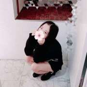 ヒメ日記 2026/04/05 15:00 投稿 ミモザ 飾窓