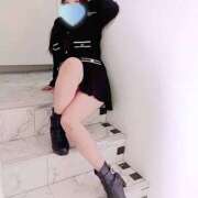 ヒメ日記 2026/04/05 18:00 投稿 ミモザ 飾窓