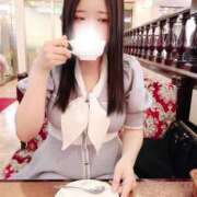 ヒメ日記 2026/04/07 12:00 投稿 ミモザ 飾窓