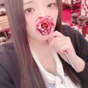 ヒメ日記 2026/04/07 18:10 投稿 ミモザ 飾窓