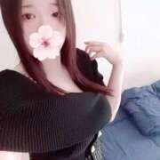 ヒメ日記 2026/04/08 10:00 投稿 ミモザ 飾窓