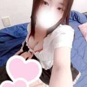 ヒメ日記 2026/04/10 17:00 投稿 ミモザ 飾窓