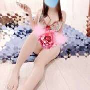 ヒメ日記 2026/04/13 10:00 投稿 ミモザ 飾窓