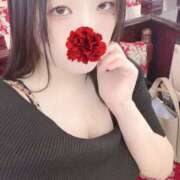 ヒメ日記 2026/04/14 10:00 投稿 ミモザ 飾窓