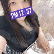 ヒメ日記 2026/04/14 12:45 投稿 ミモザ 飾窓