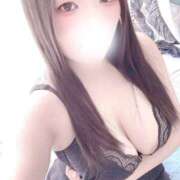 ミモザ 最高の癒しを 飾窓