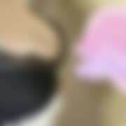 ヒメ日記 2026/05/19 21:31 投稿 ミモザ 飾窓