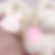 ヒメ日記 2026/06/12 09:00 投稿 ミモザ 飾窓
