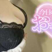 ヒメ日記 2026/07/04 23:36 投稿 ミモザ 飾窓