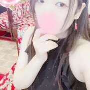 ヒメ日記 2026/08/09 23:00 投稿 ミモザ 飾窓