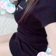 ヒメ日記 2026/08/28 10:00 投稿 ミモザ 飾窓