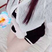 ミモザ 今日の私…💕 飾窓