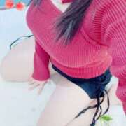 ミモザ おはようございます♡ 飾窓