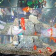 ヒメ日記 2025/08/11 21:24 投稿 水沢遥 五十路マダム愛されたい熟女たち岡山店（カサブランカグループ）