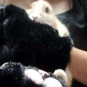 ヒメ日記 2025/02/18 11:29 投稿 まなみ 奥様さくら日本橋店