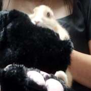 ヒメ日記 2025/05/14 12:56 投稿 まなみ 奥様さくら日本橋店