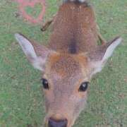 ヒメ日記 2025/11/20 12:56 投稿 まなみ 奥様さくら日本橋店