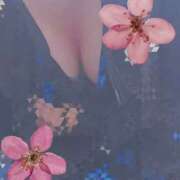 ヒメ日記 2026/03/06 16:16 投稿 まなみ 奥様さくら日本橋店