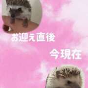 ヒメ日記 2025/02/17 14:27 投稿 みく 奥様さくら日本橋店