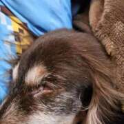 ヒメ日記 2025/02/17 14:58 投稿 みく 奥様さくら日本橋店