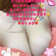 ヒメ日記 2025/03/31 17:02 投稿 みく 奥様さくら日本橋店